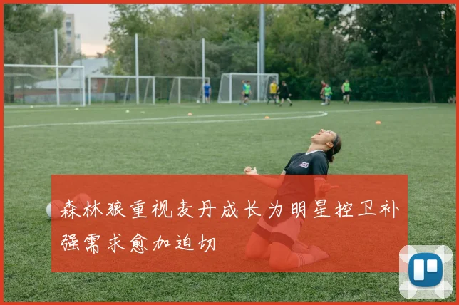 森林狼重视麦丹成长为明星控卫补强需求愈加迫切